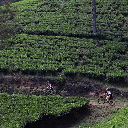 Heritance Tea Factory Nuwara Eliya Luaran gambar