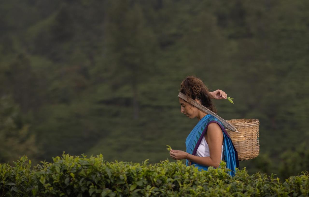 Heritance Tea Factory Nuwara Eliya Luaran gambar